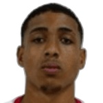 Wallace Defender