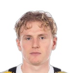G. Westström Defender