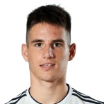 S. Tedić Attacker