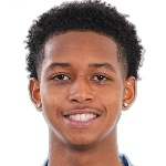 W. Frederick II Attacker