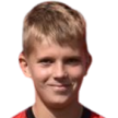 P. Pihlak Defender