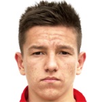 M. Nešković Attacker