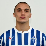 N. Vukajlović Defender