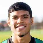 L. Le Roux Midfielder