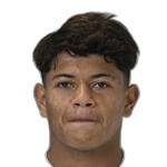 Luiz Fernando Attacker