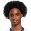 T. Thompson Attacker