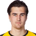 J. Birkfeldt Defender