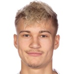 P. Almqvist Attacker