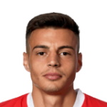 K. Fatkić Midfielder