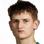 V. Pavilonis Defender