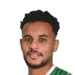 Amr Gomaa Attacker