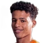 Khaled Shefo Defender