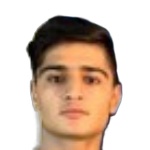 M. Hasheminasab Attacker