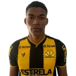Ruan Defender