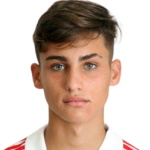 Pedro Andrade Drozina Defender