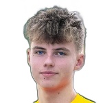 M. Hansen Attacker