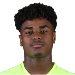 M. Hanzouli Goalkeeper