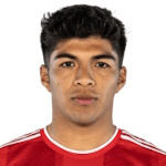 O. Fernandez Attacker