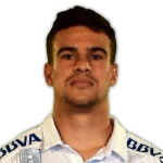 F. Labandeira Attacker