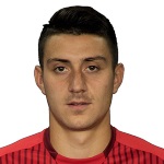 I. Nedelcearu Defender