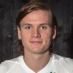 K. Finnbogason Attacker