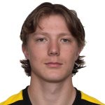 G. Simenstad Defender