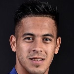 N. Fernández Attacker