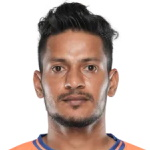 S. Fernandes Defender