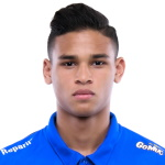Irfan Fandi Defender