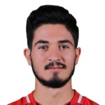 F. Üzüm Defender