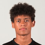 J. Sery Larsen Defender