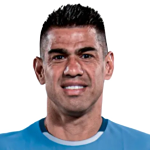 N. Amarilla Defender