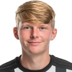 P. Šulc Midfielder