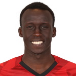 T. Deng Defender