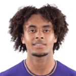 J. Zirkzee Attacker