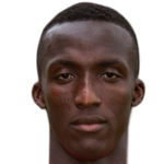 P. Diakite Defender