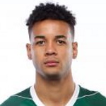 A. Diz Defender
