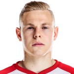 K. Ludewig Defender