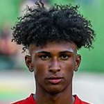 E. Aiwu Defender