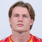 D. Foulon Midfielder