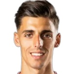 I. Franjić Attacker