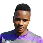 Z. Ngcobo Goalkeeper