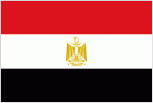 Egypt U20 Logo