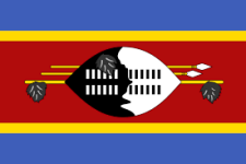 Eswatini U20 Logo