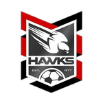 Holland Park Hawks Logo