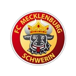 Mecklenburg Schwerin Logo