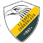 Sokol Zubrohlava Logo