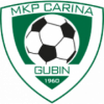 Carina Gubin Logo