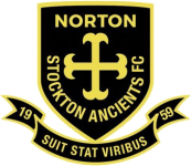 Norton & Stockton W Logo