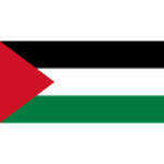 Palestine U20 Logo